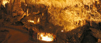 Grotten van Postojna